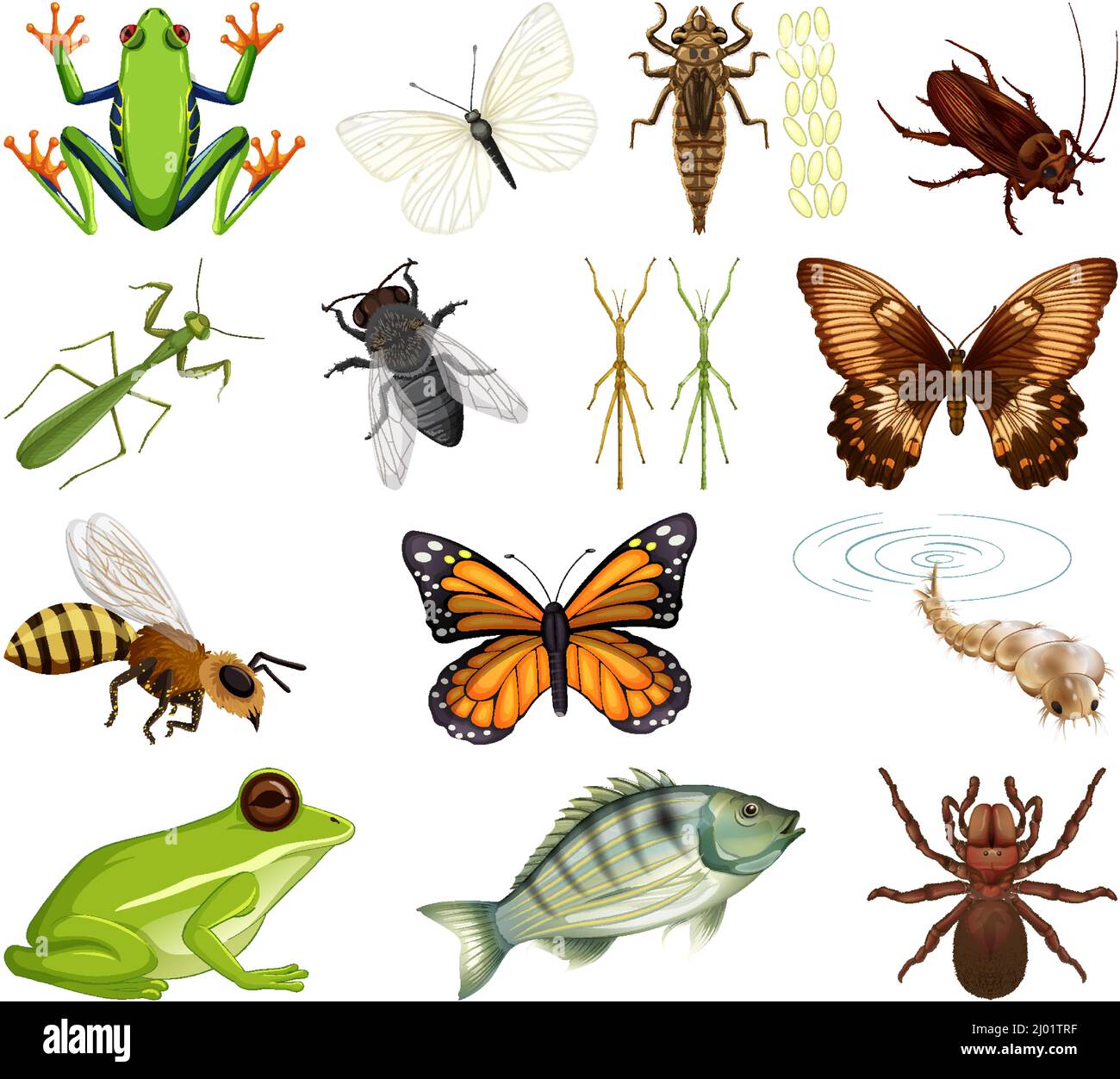 Different kinds of insects and animals on white background illustration ...