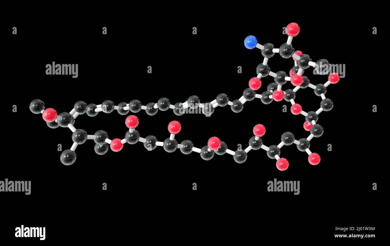 Amphotericin B antifungal drug, molecular model Stock Photo - Alamy