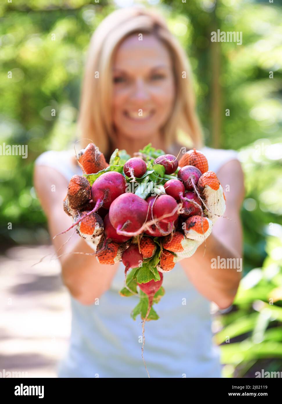 Heart health is in her hands. A woman holding out freshly picked vegetables. Stock Photo
