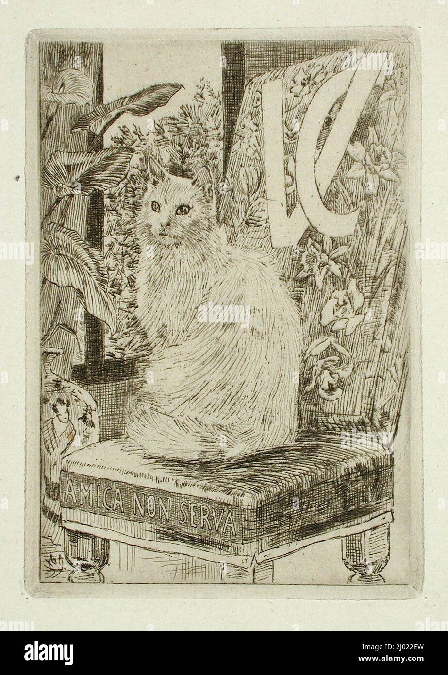 Le Chat. Félicien Victor Joseph Rops (Belgium, Namur, 1833-1898). Belgium, no date. Prints; etchings. Etching with brown/black ink Stock Photo