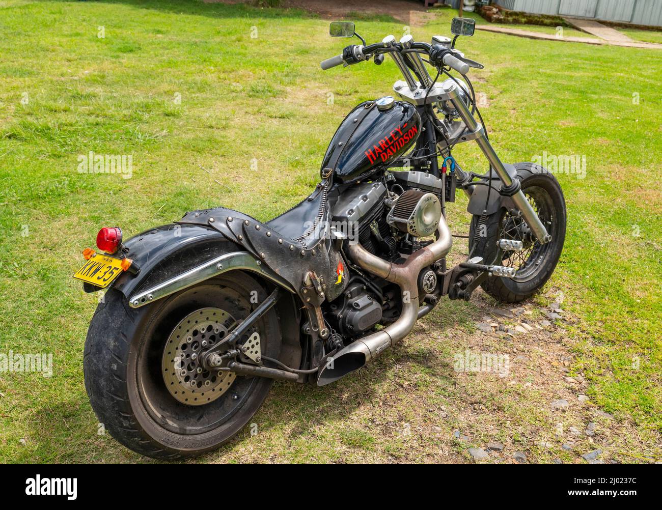 Nut chopper hi-res stock photography and images - Alamy