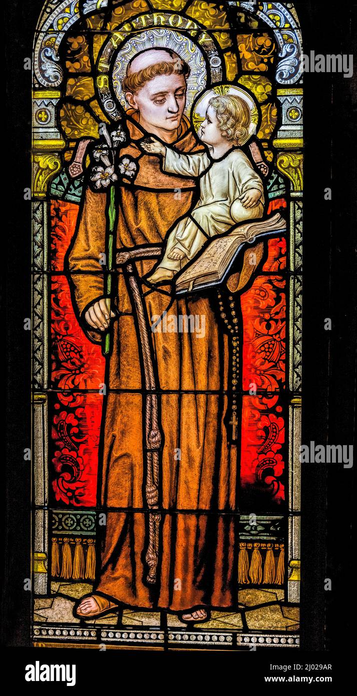 Saint Anthony of Padua Stained Glass Basilica Church Immaculate Conception Blessed Mary Phoenix Arizona  Anthony Portuguese saint powerful preacher Ch Stock Photo