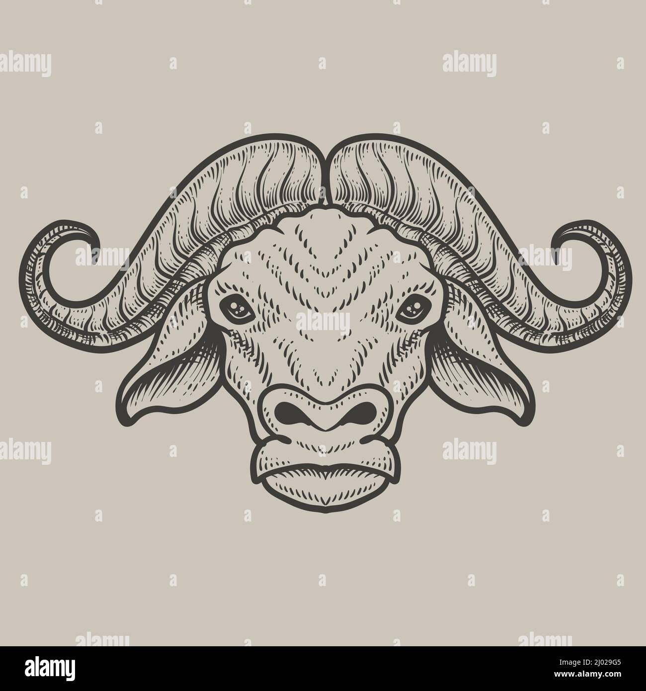 illustration buffalo head with engraving style Stock Vector Image & Art ...