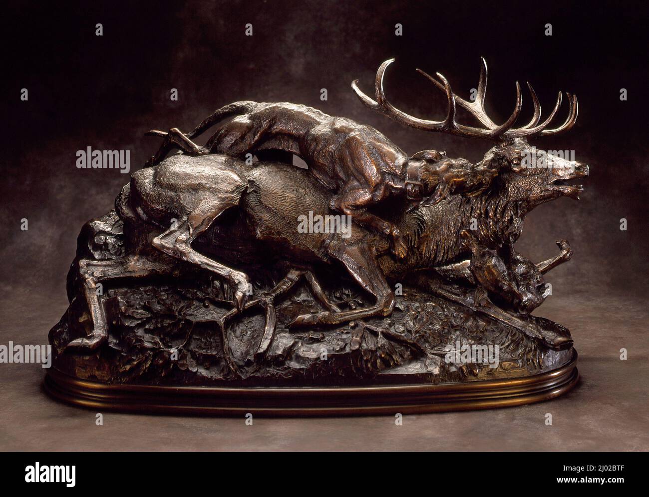 Stag Brought Down by Scottish Hounds. Antoine-Louis Barye (France, 1796-1875). France, circa 1833. Sculpture. Bronze Stock Photo
