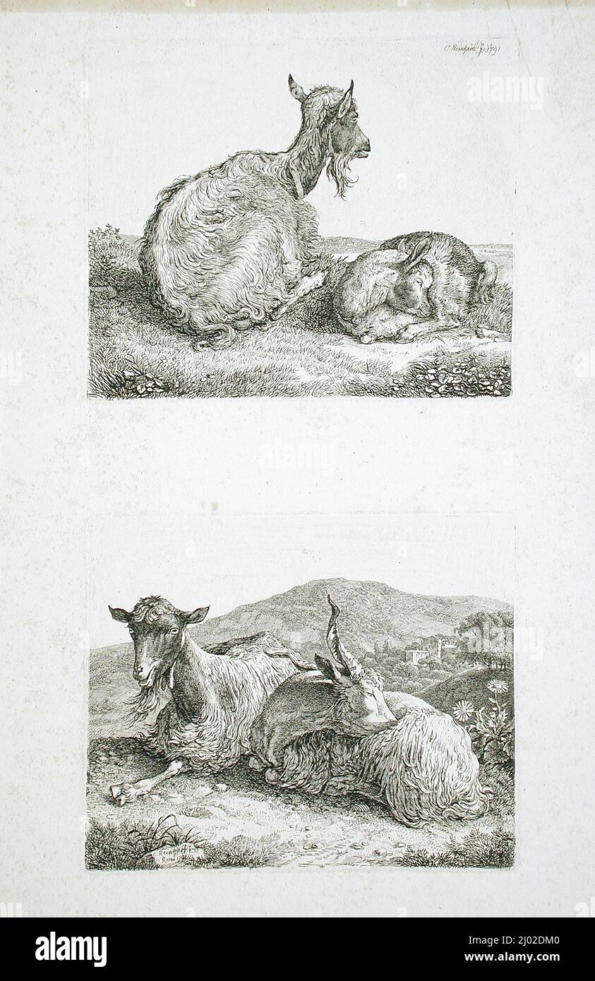 Goats Resting in Landscape. Johann Christian Reinhart (Germany, Bavaria, Hof, 1761-1847). Germany, 1791. Prints; etchings. Two etchings on one sheet, uncut Stock Photo