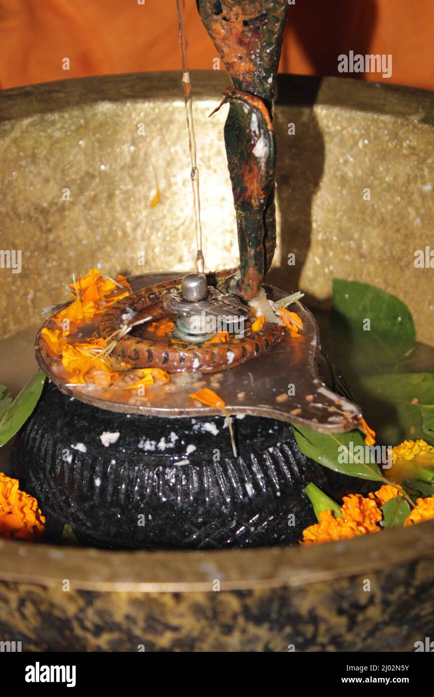 Hindu Devotees offering milk And Water to Shiv Lingam on occasion of Abhishekam in India . Offering Flower and bael leafs to the Lord shiva ,India Stock Photo
