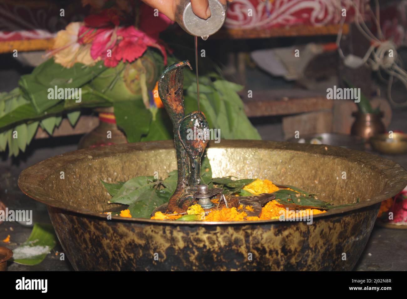 Hindu Devotees offering milk And Water to Shiv Lingam on occasion of Abhishekam in India . Offering Flower and bael leafs to the Lord shiva ,India Stock Photo