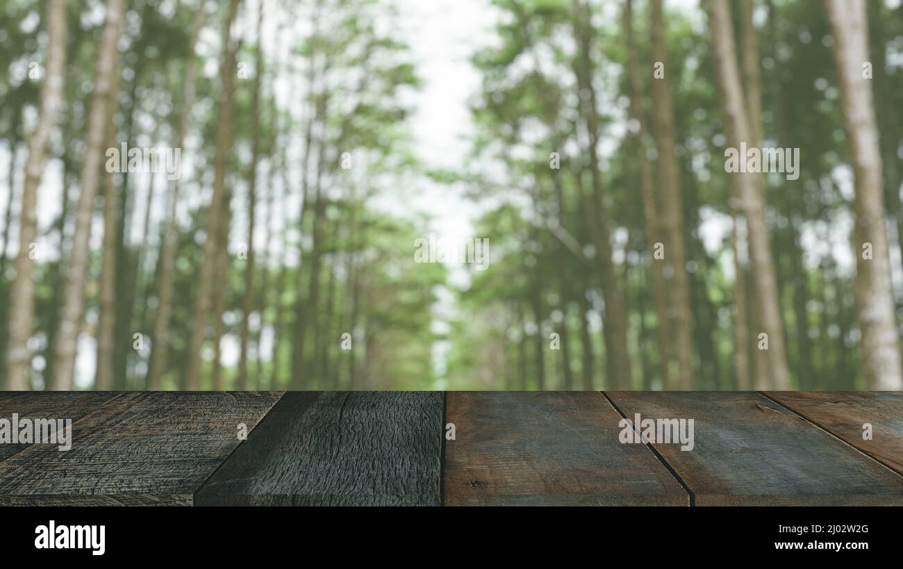 Blur green forest pine wood with wooden table foreground for advertising products montage. Stock Photo
