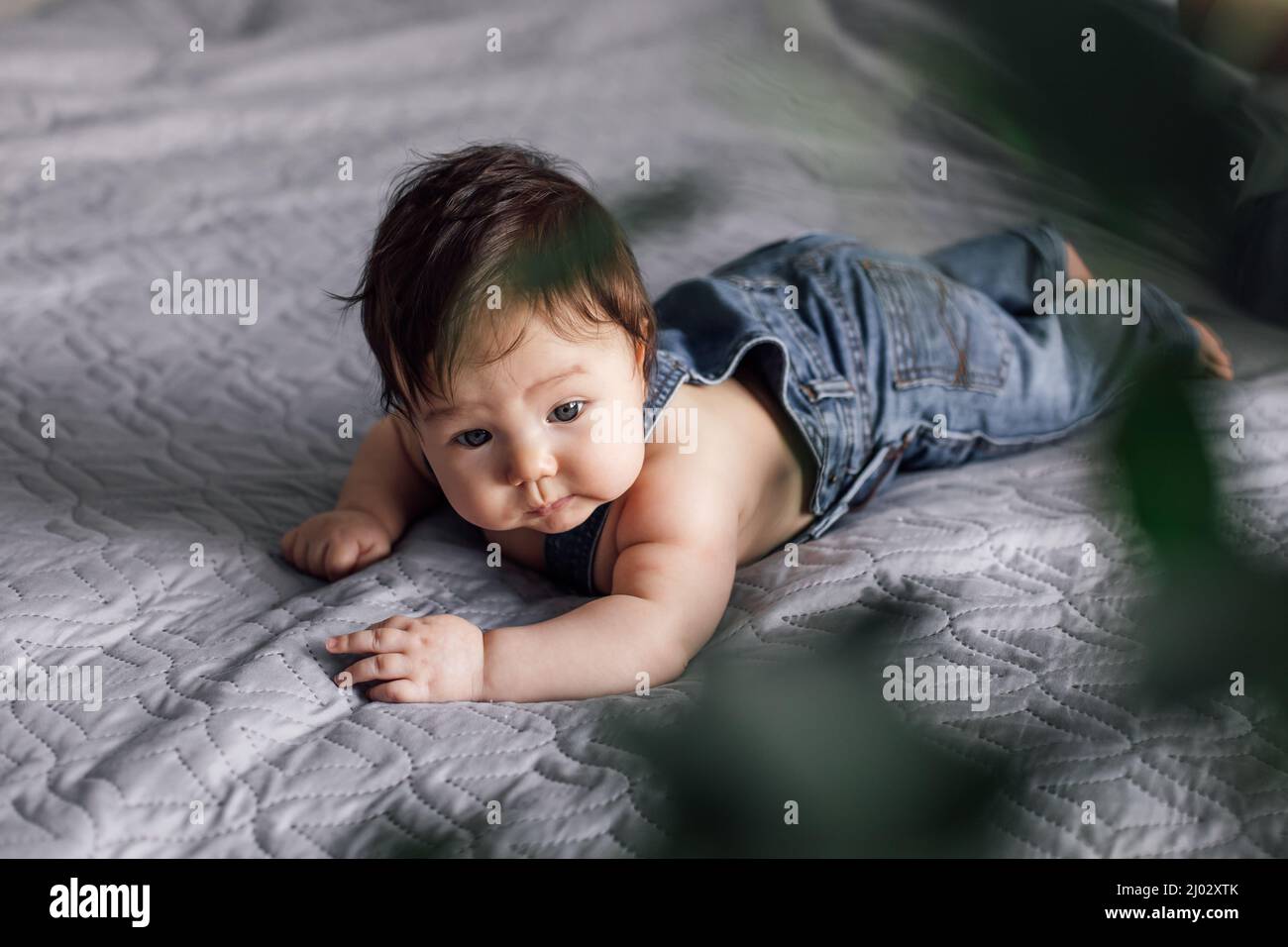 Portrait of pretty baby in denim romper resting on bed blanket at home, blurry green plant in foreground. Infant child lay on tummy, explore world Stock Photo