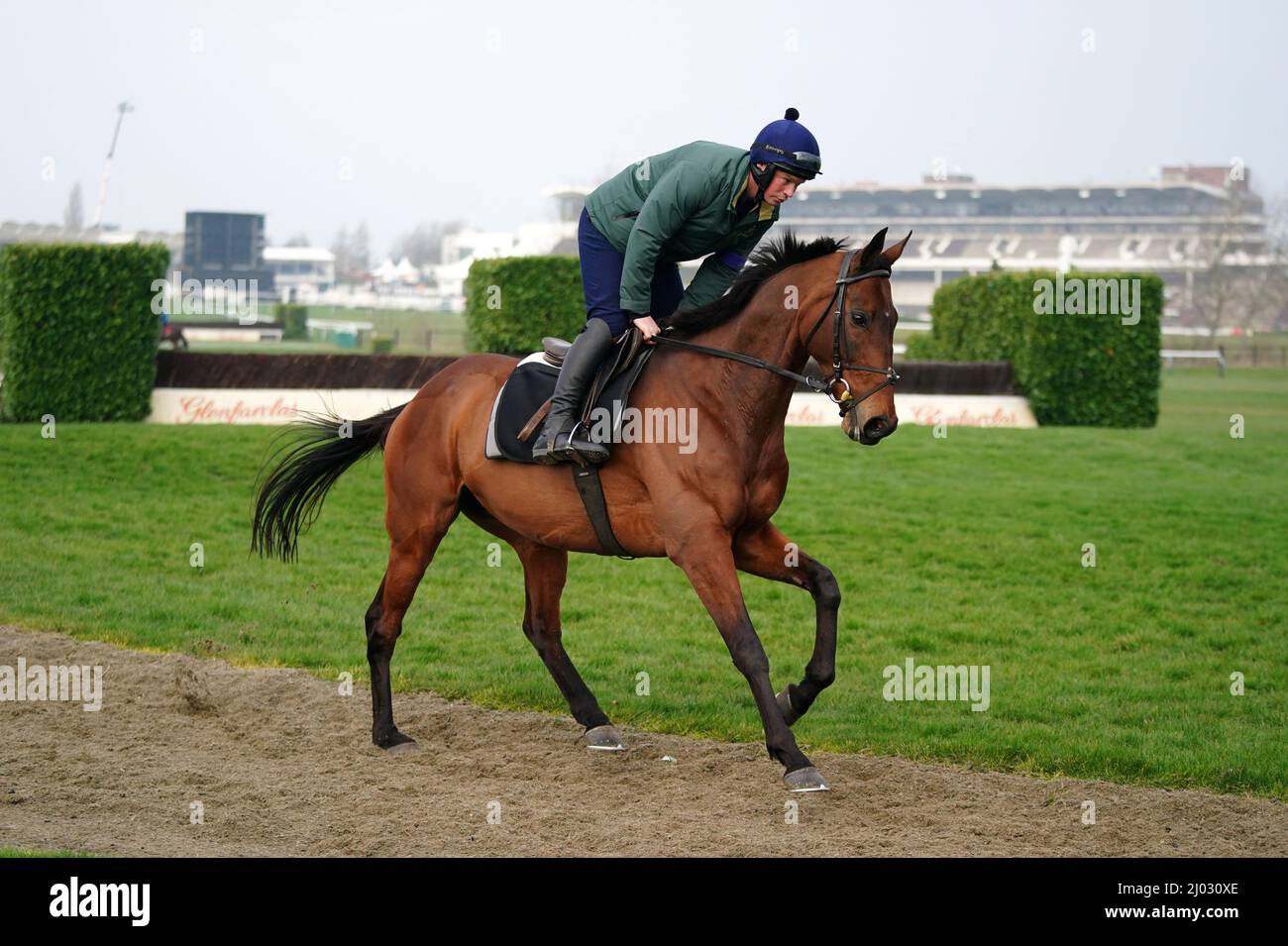 Chacun Pour Soi on the gallops during day two of the Cheltenham Festival at Cheltenham Racecourse. Picture date: Wednesday March 16, 2022. Stock Photo