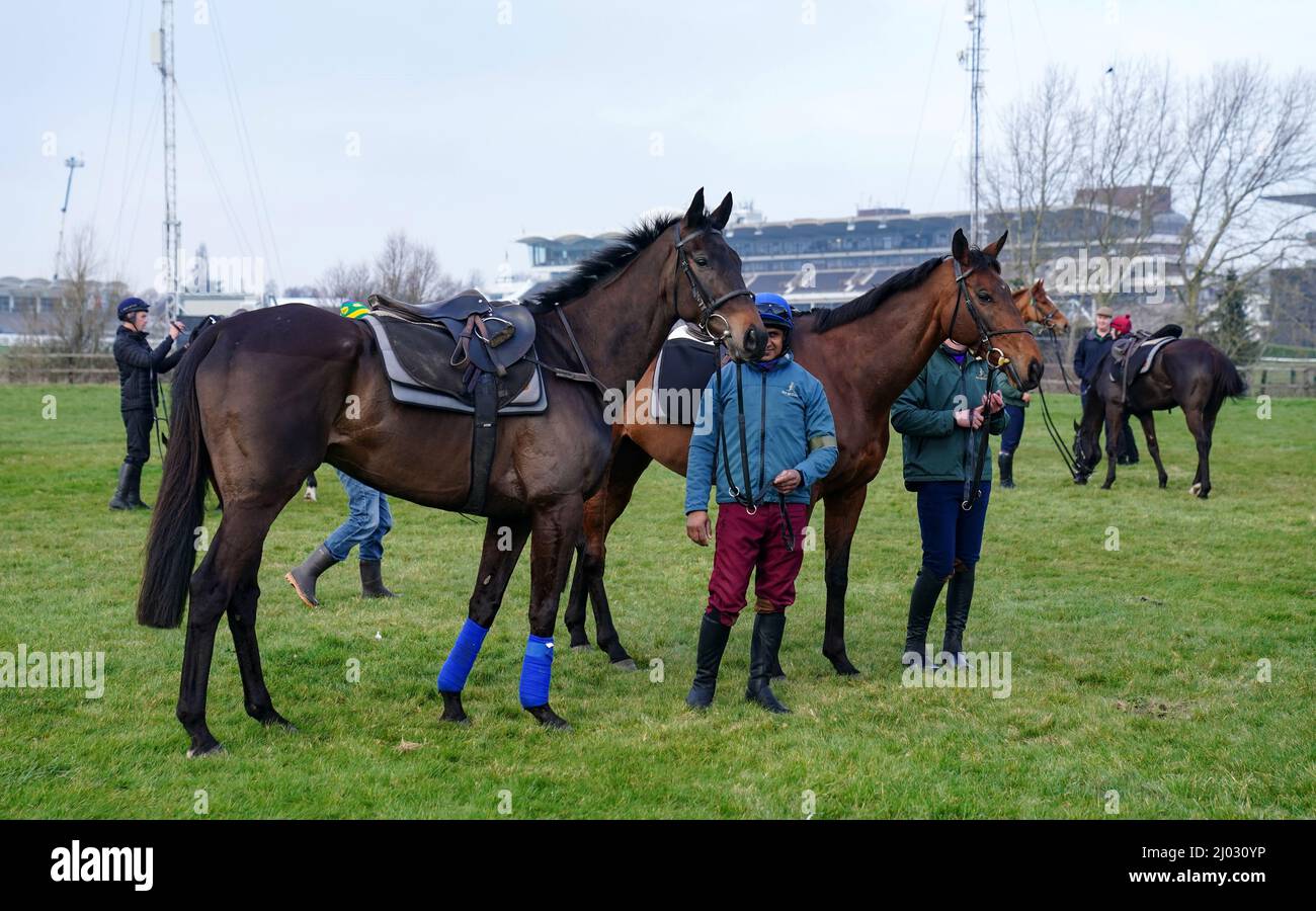 Energumene (left) and Chacun Pour Soi on the gallops during day two of the Cheltenham Festival at Cheltenham Racecourse. Picture date: Wednesday March 16, 2022. Stock Photo