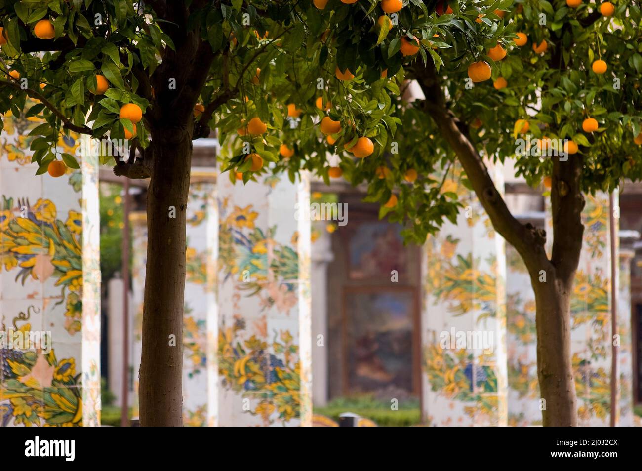Oranges inside cloister of St. Chiara church and monastery, Naples, Italy Stock Photo