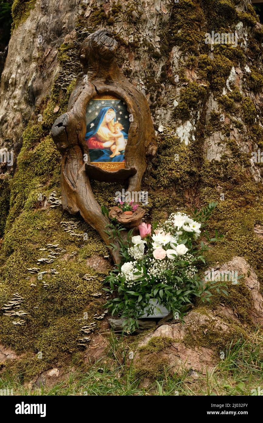 A little Virgin Mary on a tree in the central Italy Apennines Stock Photo