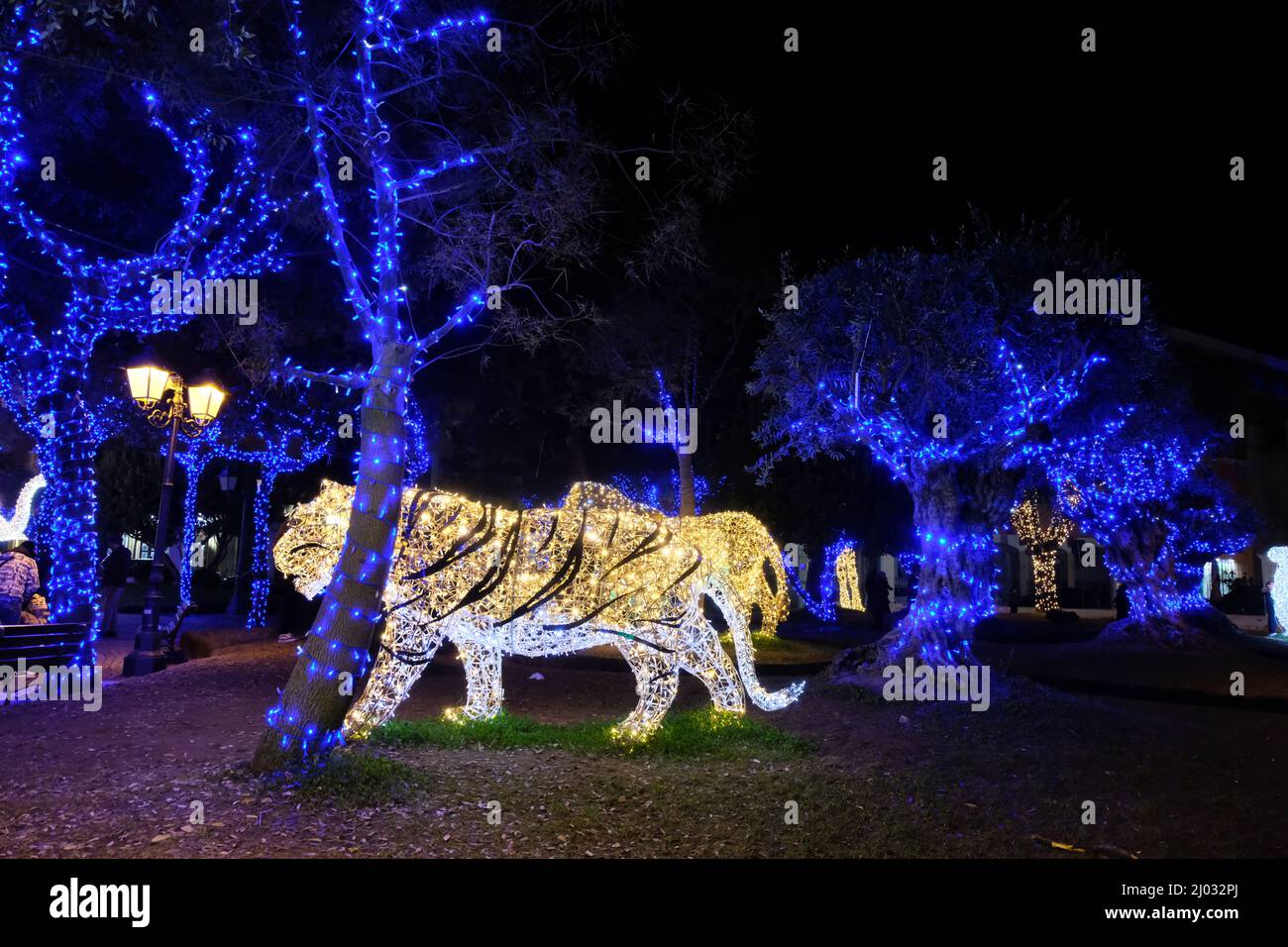 Christmas lights in Gaeta, december 2021, Lazio, Italy. Representation of a Tiger Stock Photo