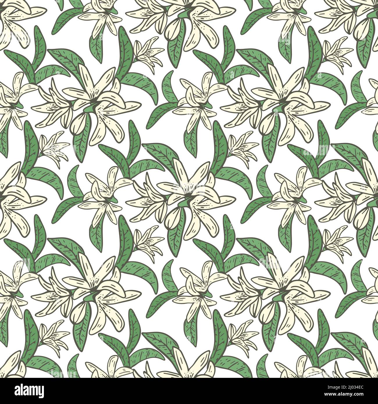 Lemon tree blossom seamless pattern. Background with snowy small white ...