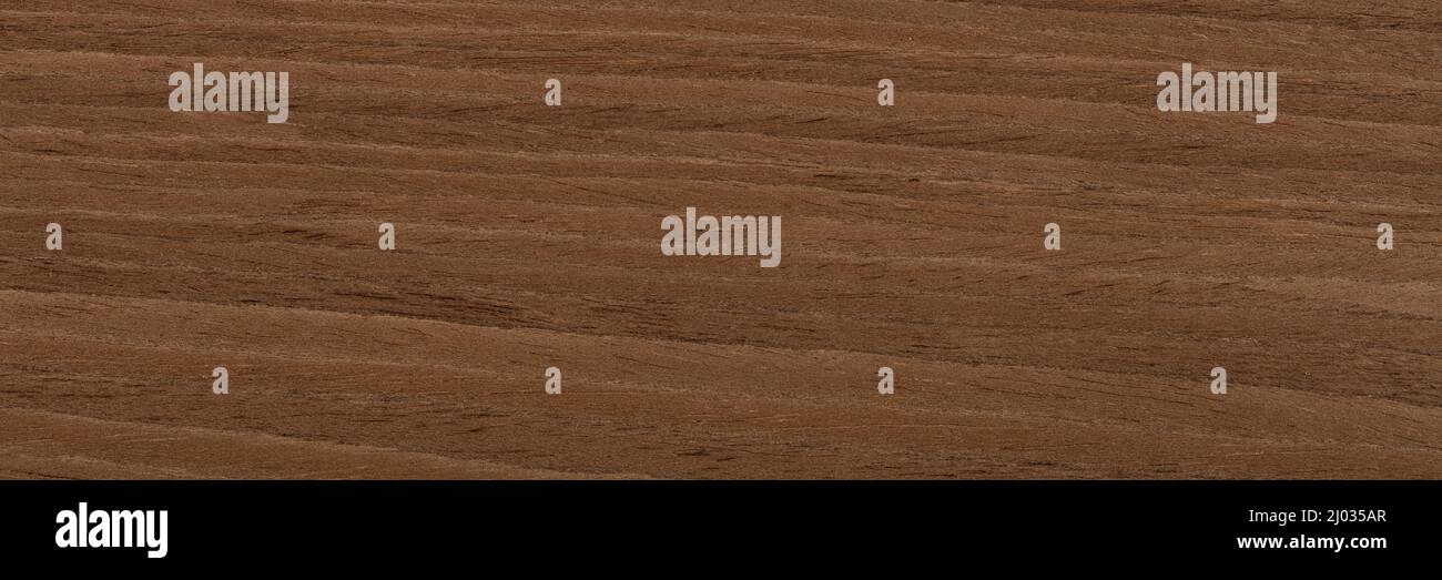 New expensive nut veneer background in universal brown color. Natural ...