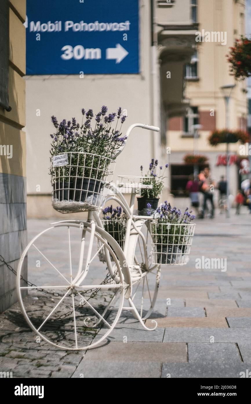 white vintage bike