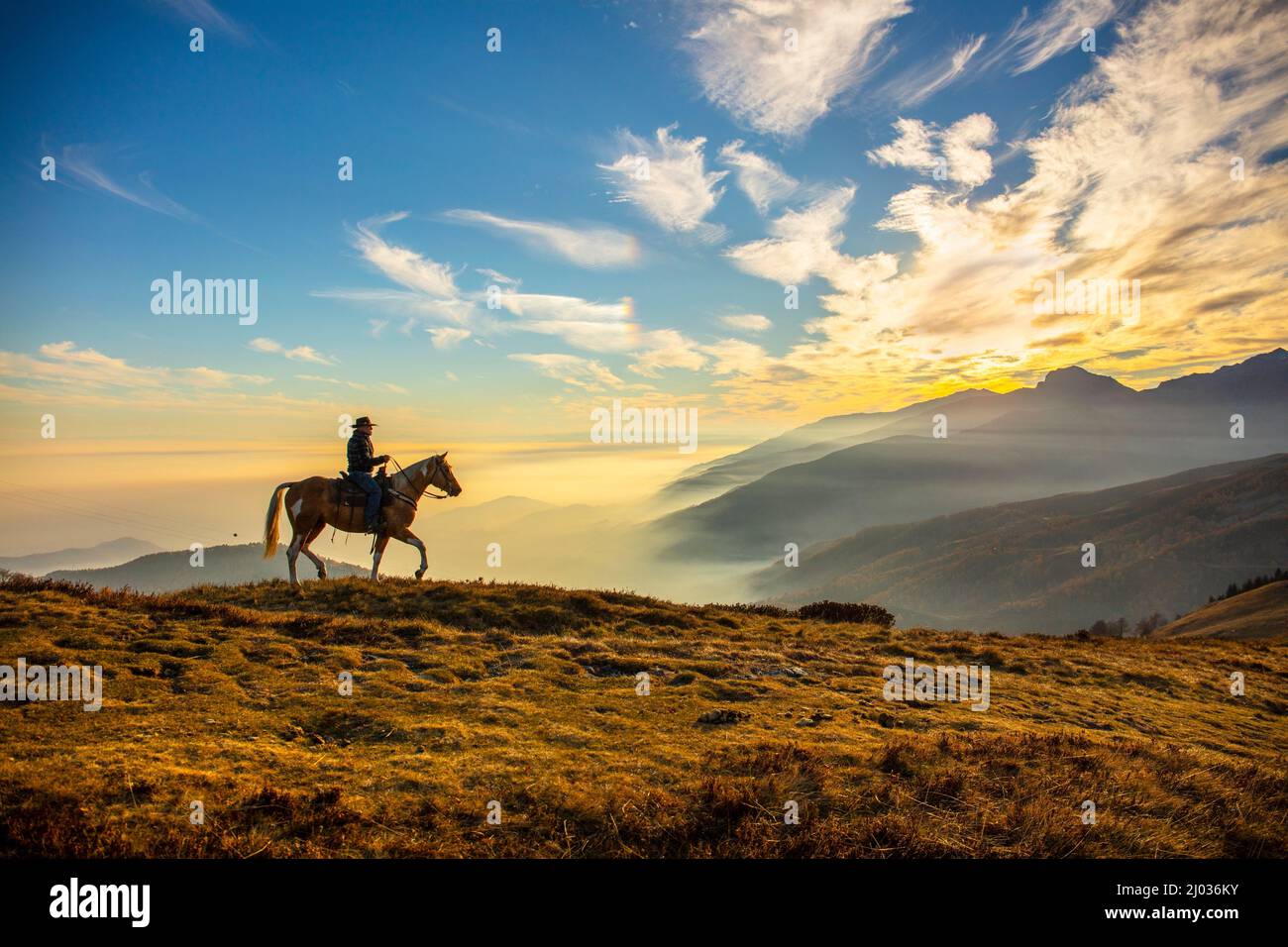 Bielmonte Equestrian Center, Bielmonte, Piedmont, Italy, Europe Stock Photo