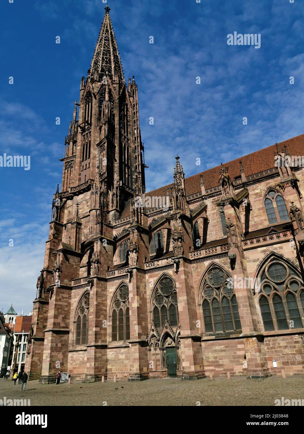 Freiburger Münster, Münster Unserer Lieben Frau, römisch-katholische Stadtpfarrkirche von Freiburg im Breisgau, Baden-Württemberg, Deutschland  /  Fre Stock Photo