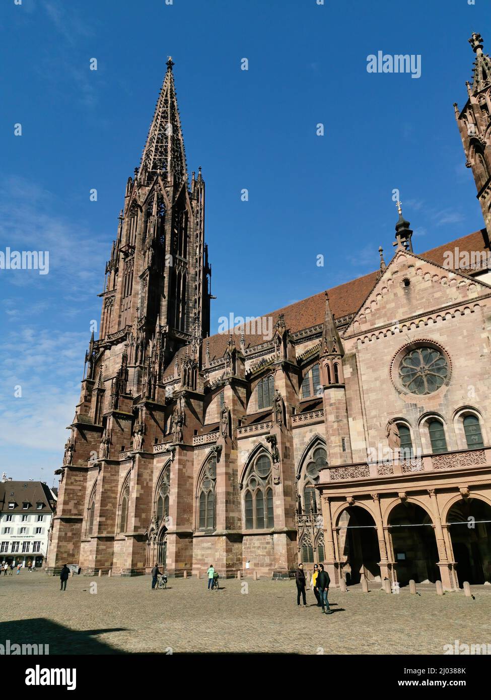 Freiburger Münster, Münster Unserer Lieben Frau, römisch-katholische Stadtpfarrkirche von Freiburg im Breisgau, Baden-Württemberg, Deutschland  /  Fre Stock Photo