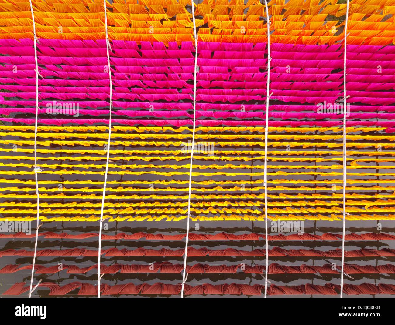 Narayanganj, Dhaka, Bangladesh. 16th Mar, 2022. Workers hang thousands of different colorful fabrics on iron wires tied between a bamboo framework and constantly turn them so that they dry perfectly in flooded field in Narayanganj, Bangladesh. Iron wires are used between a bamboo framework to create giant washing lines for the final part of the dying process as the fabrics are dried in the sun. Bright strands of blue, pink, orange and green-dyed cloths hang above the grassy field in a dazzling network of interlocking colors. This is the final part of the dying process after which the cloth is Stock Photo