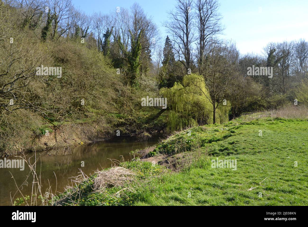 Water canal in the peaceful area, River Mole Valley at Boxhill Surrey ...