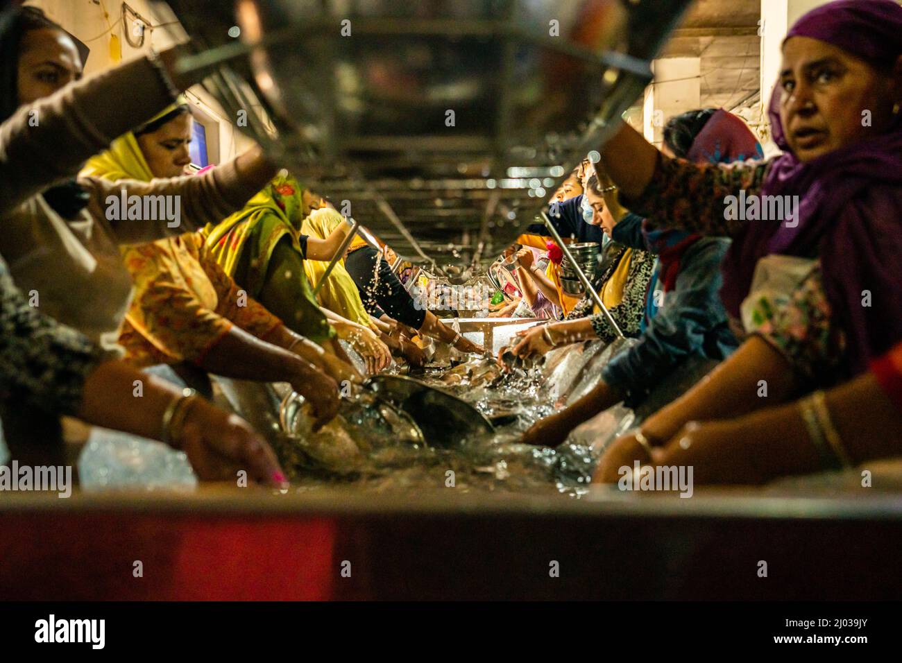 Volunteers handwash all the dishes at the Golden Temple, Amritsar, Punjab, India, Asia Stock Photo