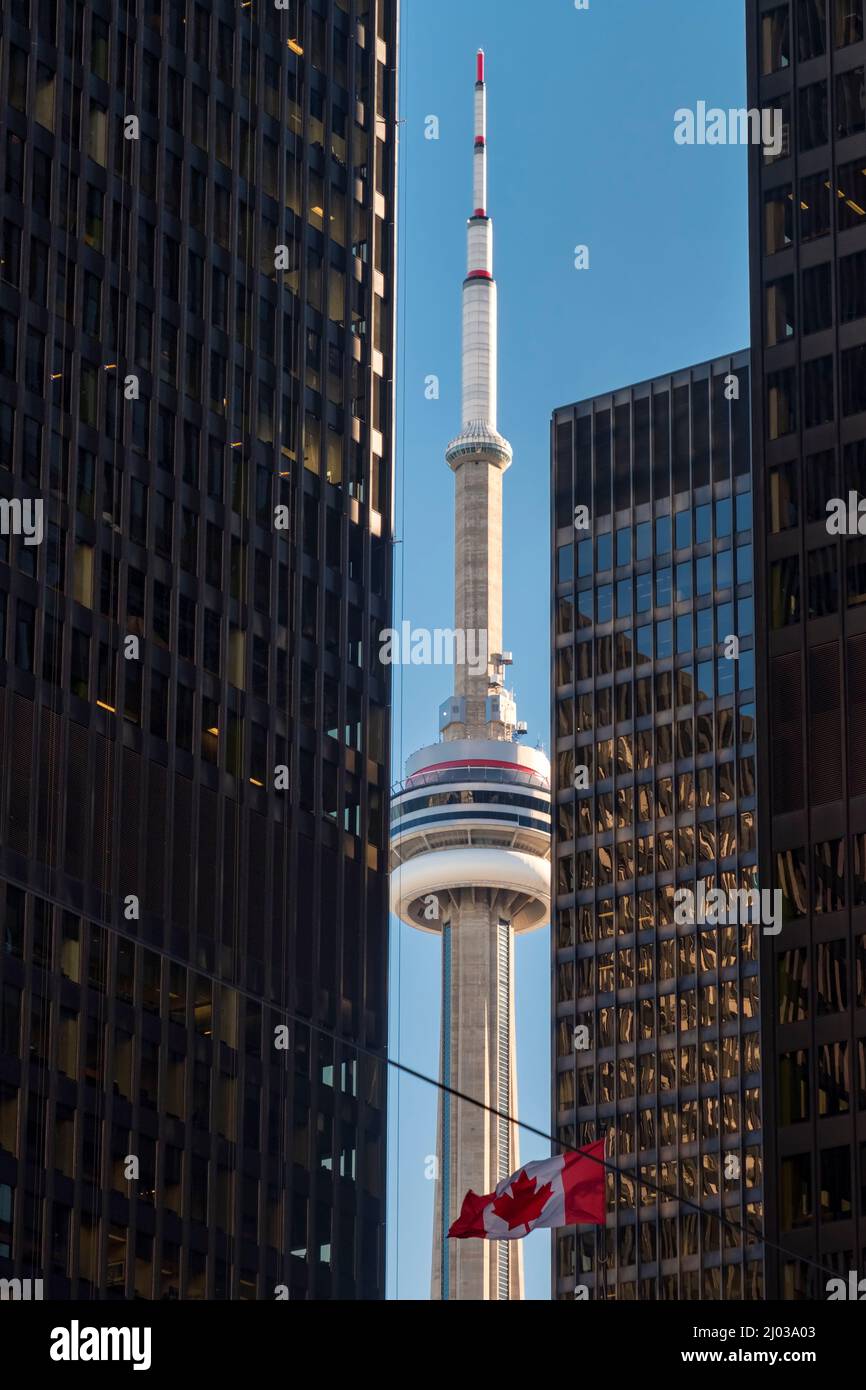 The CN Tower and City skyscrapers, Toronto, Ontario, Canada, North America Stock Photo