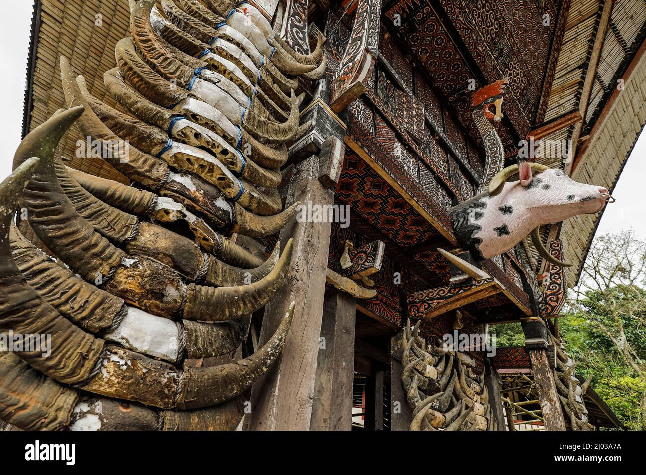 Carved head and horns of sacrificed buffalo, tongkonan traditional family house, La'bo, Rantepao, Toraja, South Sulawesi, Indonesia Stock Photo