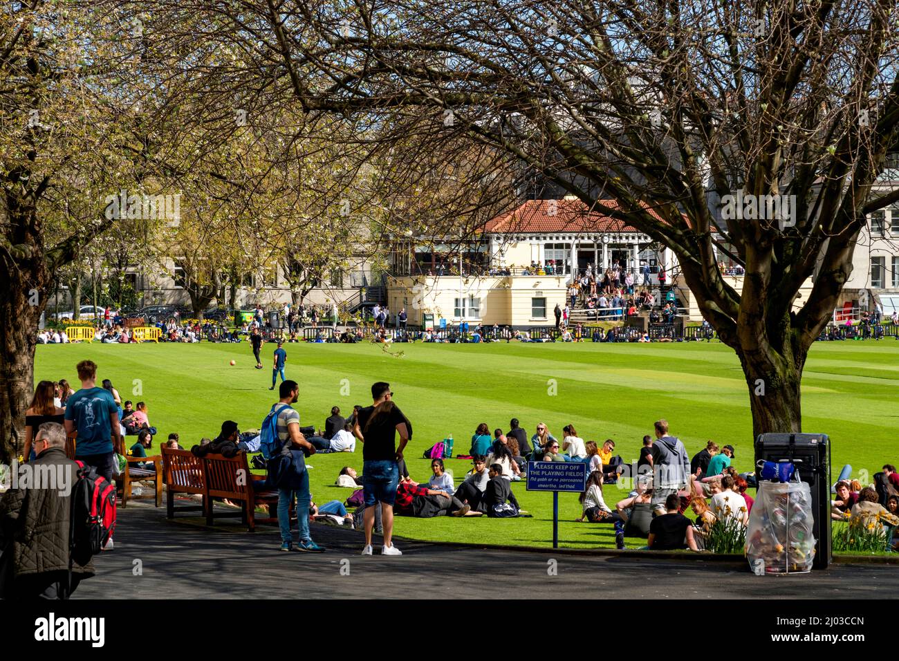 The cricket pitch at Trinity College Dublin, Ireland Stock Photo Alamy