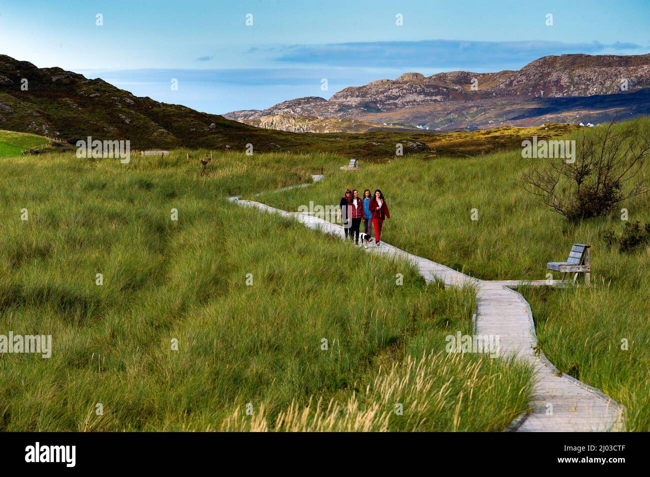 Walkway at Ards Forest Park, Cresslough, county Doanegal, Ireland Stock Photo