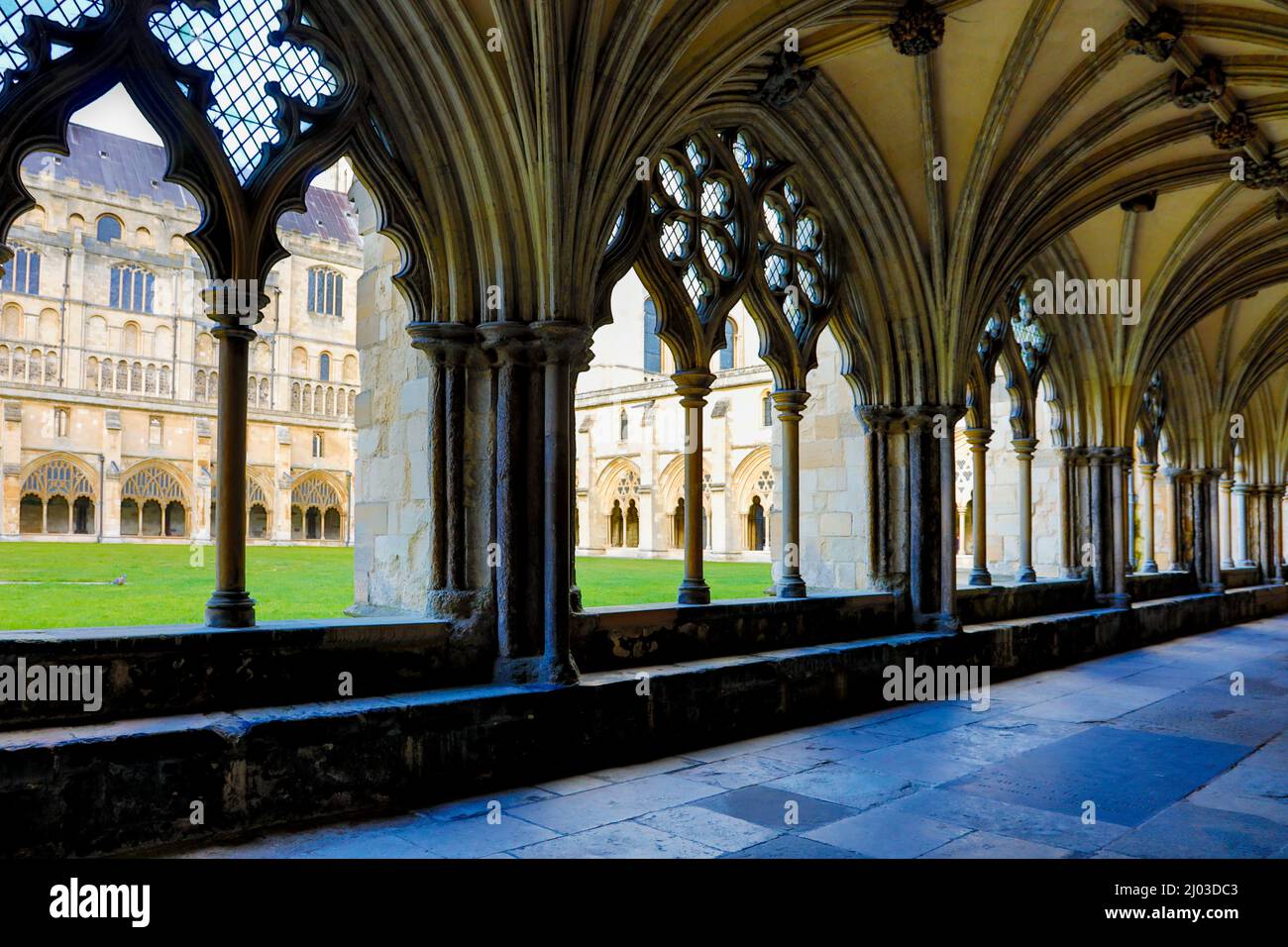 Cloisters at Norwich cathedral. Stock Photo