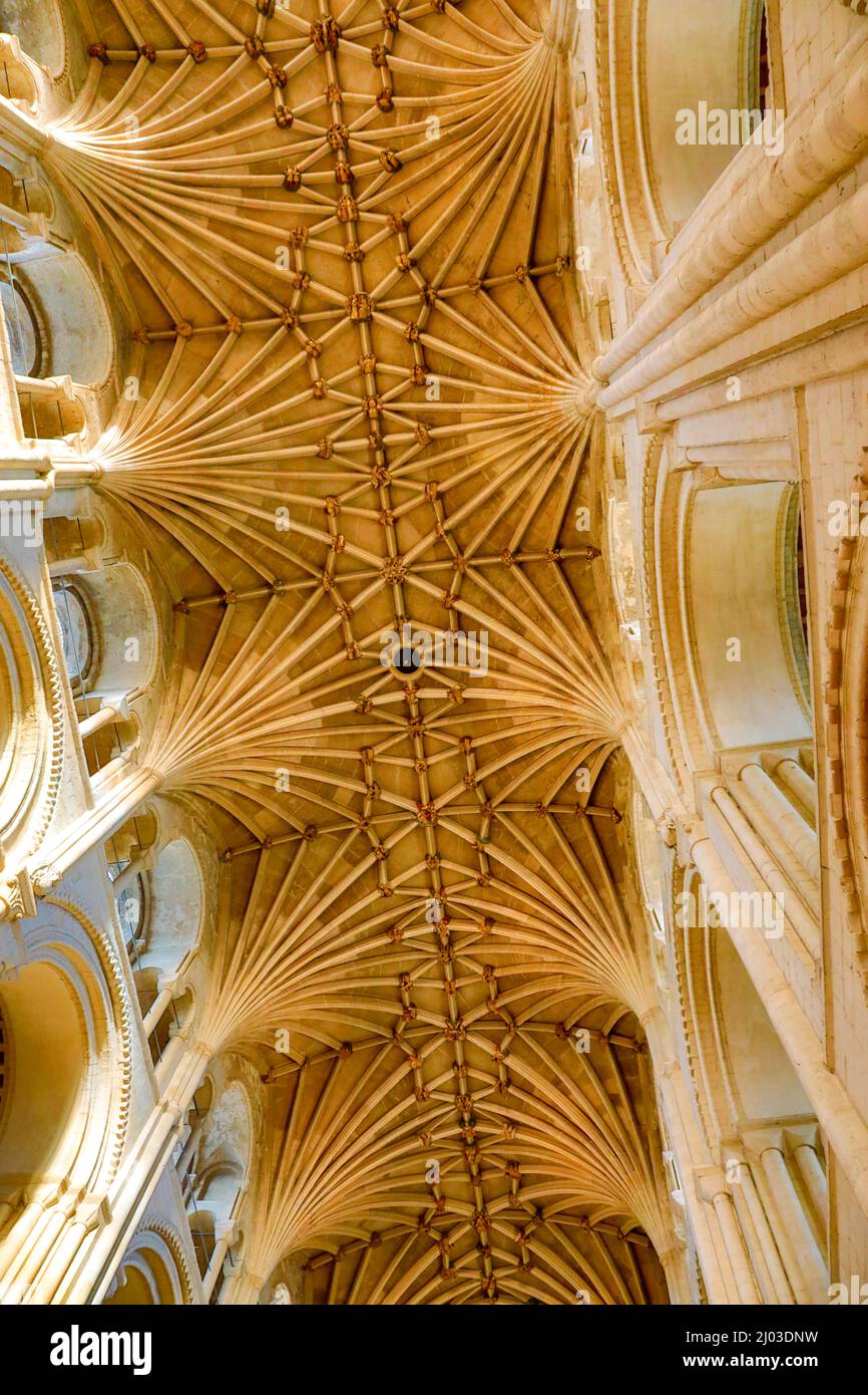 Inside Norwich cathedral. Stock Photo
