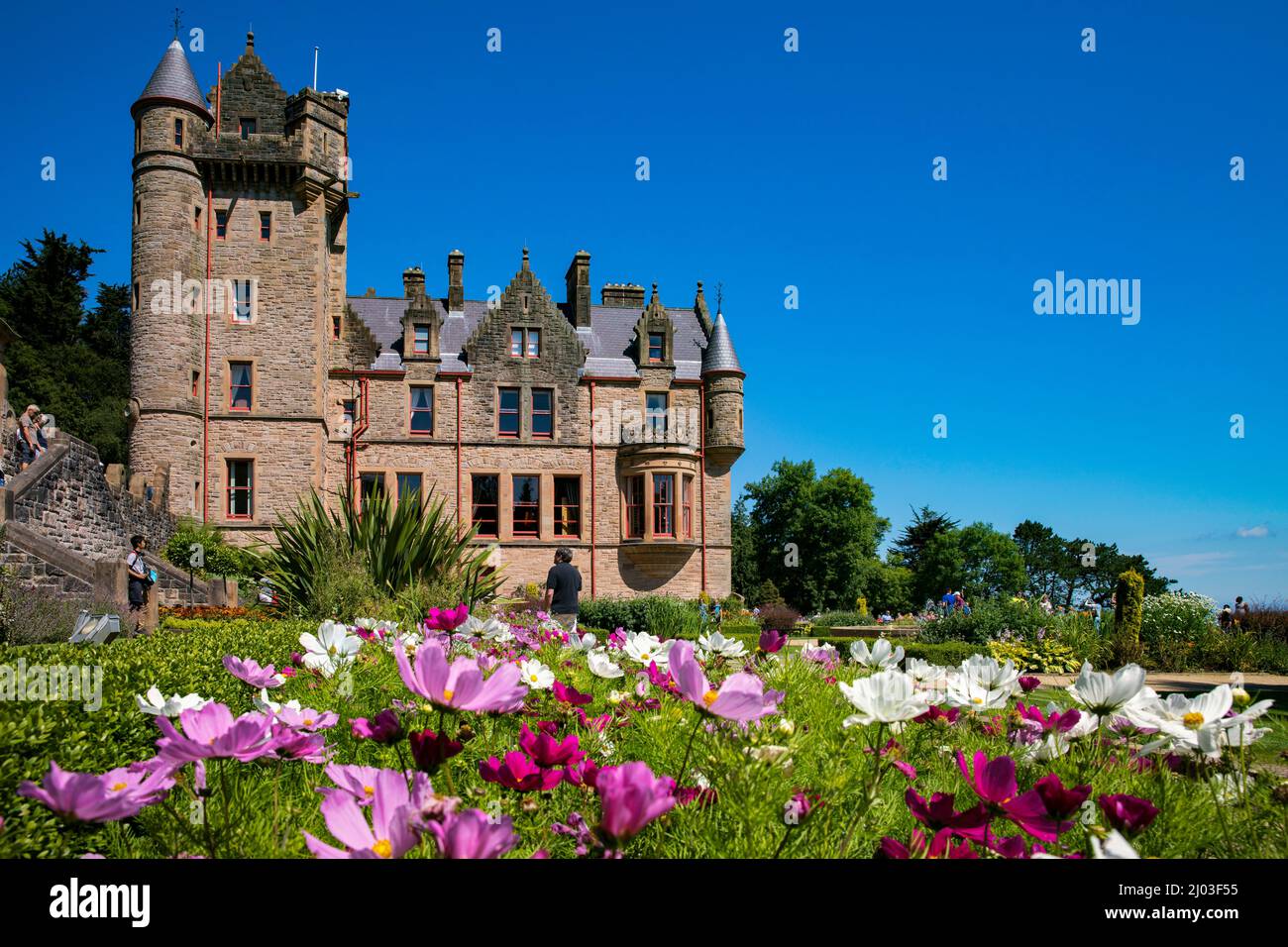 Flowers bloom at Belfast Castle, Cave Hill, County Antrim, Northern Ireland Stock Photo