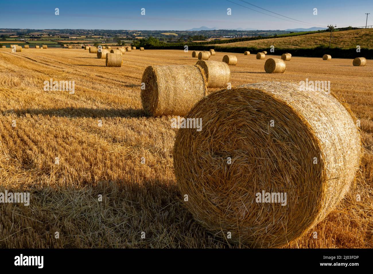 Hay Bales in North down near Comber, County Down, Northern Ireland Stock Photo