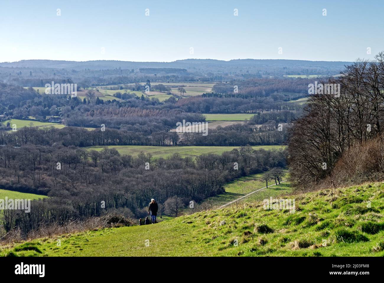 Walkers enjoying a sunny winters day on Ranmore Common near Dorking