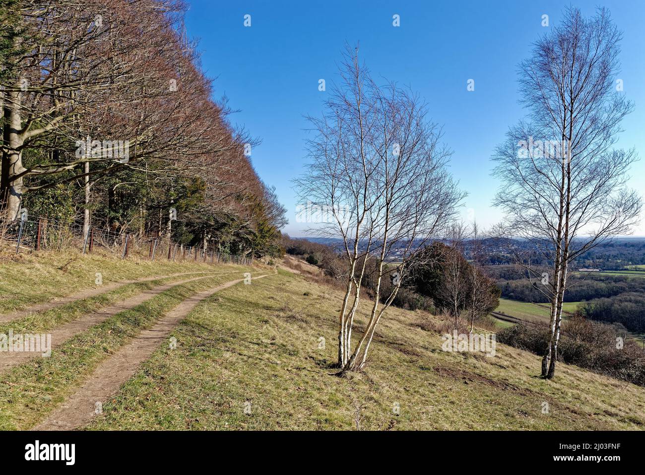 The view from Ranmore Common looking towards Dorking, on a sunny