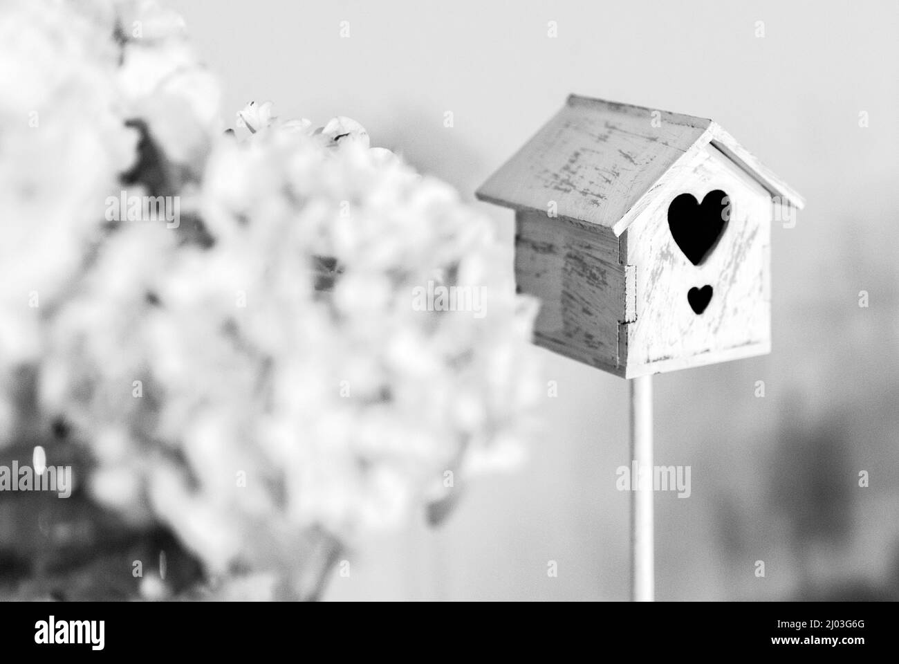 Detail of baby shower for girl, bird cage and bouquet Stock Photo