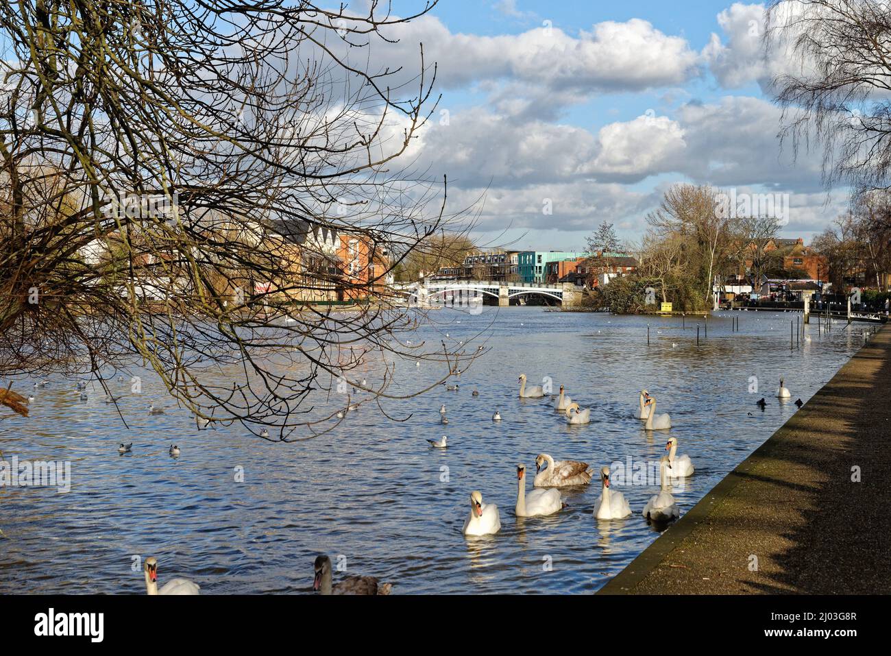 The riverside at Windsor on a sunny winters evening, Berkshire England ...