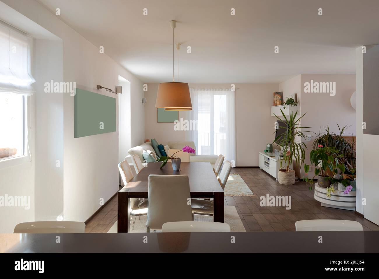 Open space view of modern apartment with kitchen with island, large table with chairs and a sofa in the background. Nobody inside Stock Photo