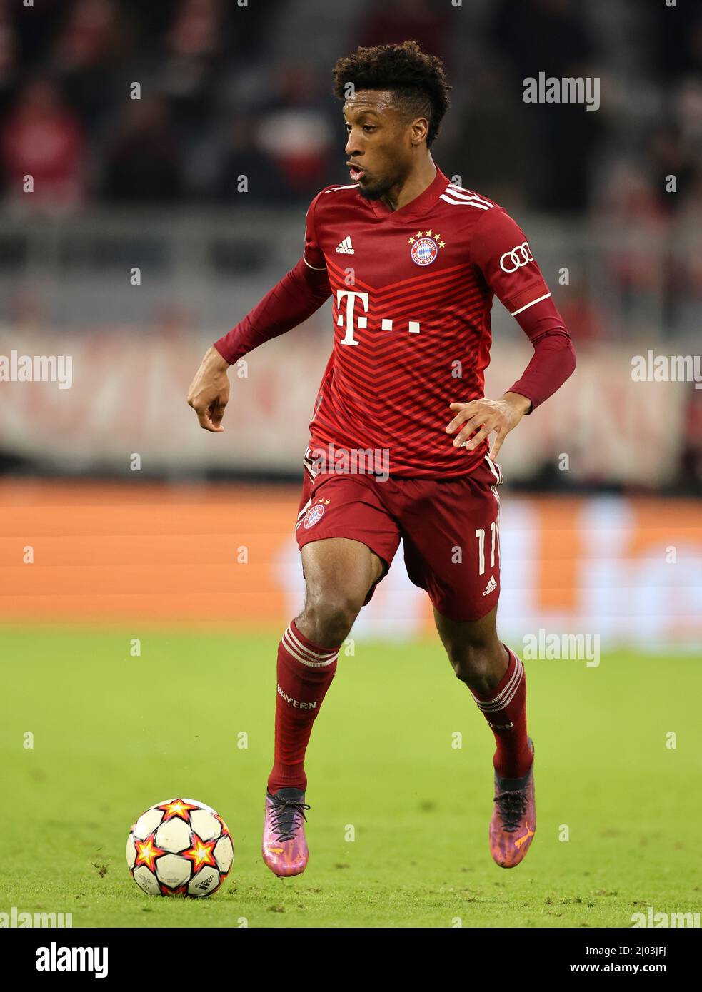 Kingsley Coman of Bayern Muenchen Fussball UEFA Championsleague FC Bayern  Muenchen - RB Salzburg 7:1 Achtelfinale RŸckspiel Saison 2021 / 2022  8.3.2022 © diebilderwelt / Alamy Stock Stock Photo - Alamy