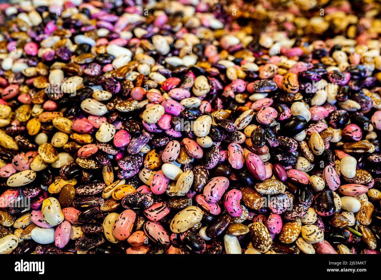 Various coloured Lentils from the Legume Family Stock Photo Alamy