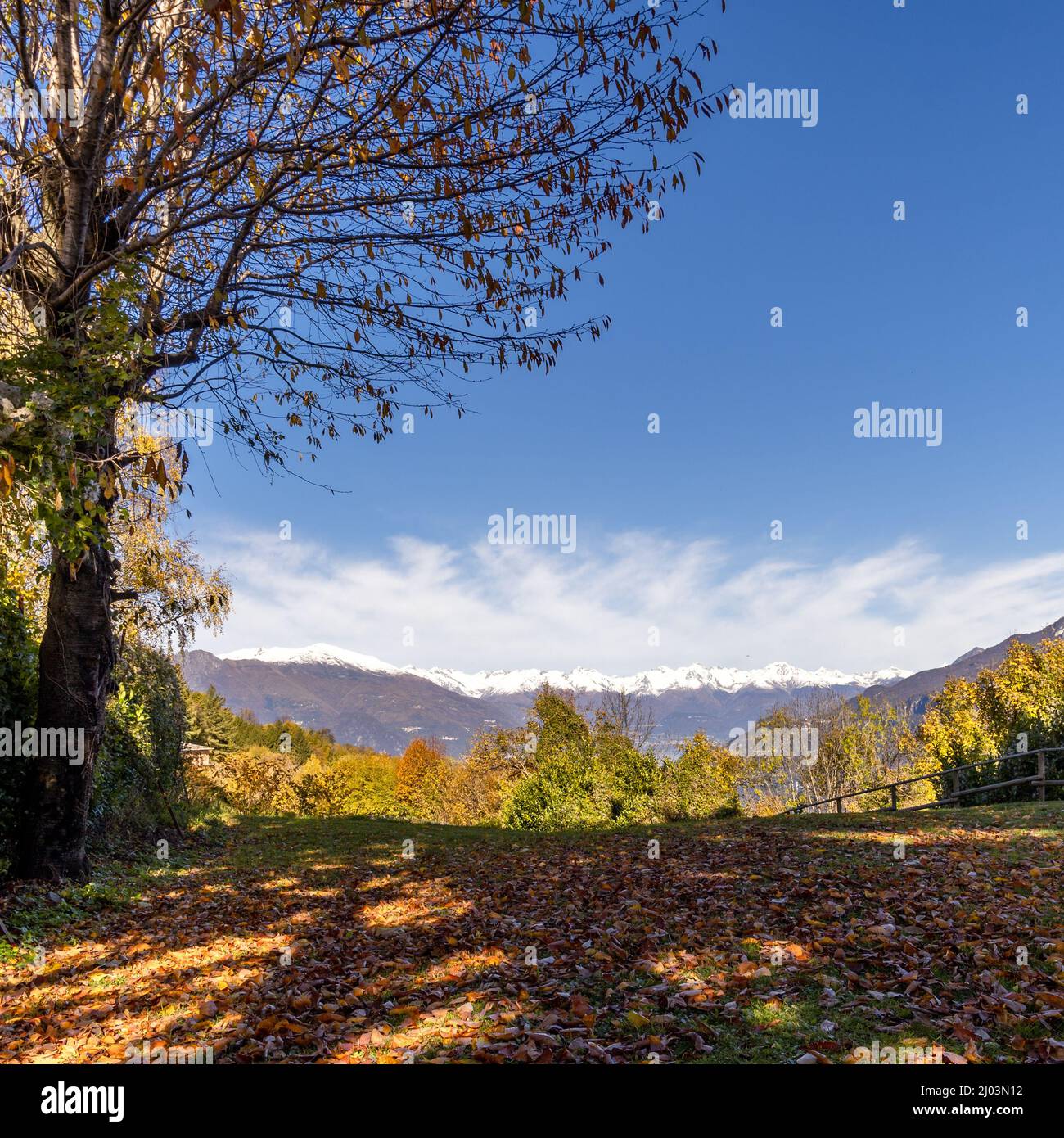 Beach in quiet morning autumn hi-res stock photography and images - Alamy