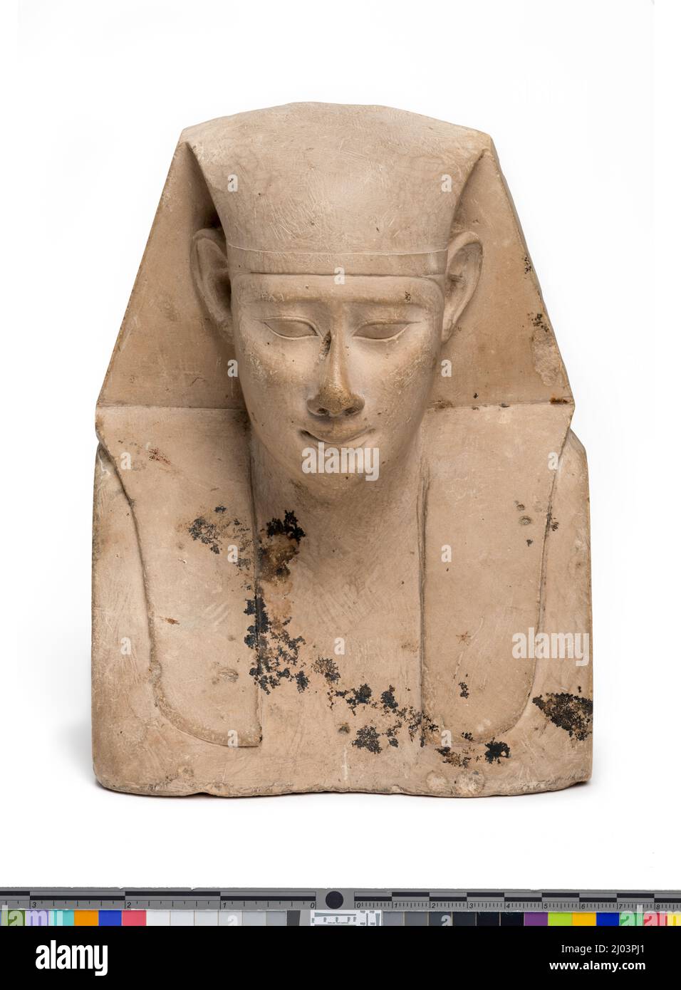 Sculptor's Model. Egypt, Ptolemaic Period, possibly reign of Ptolemy II