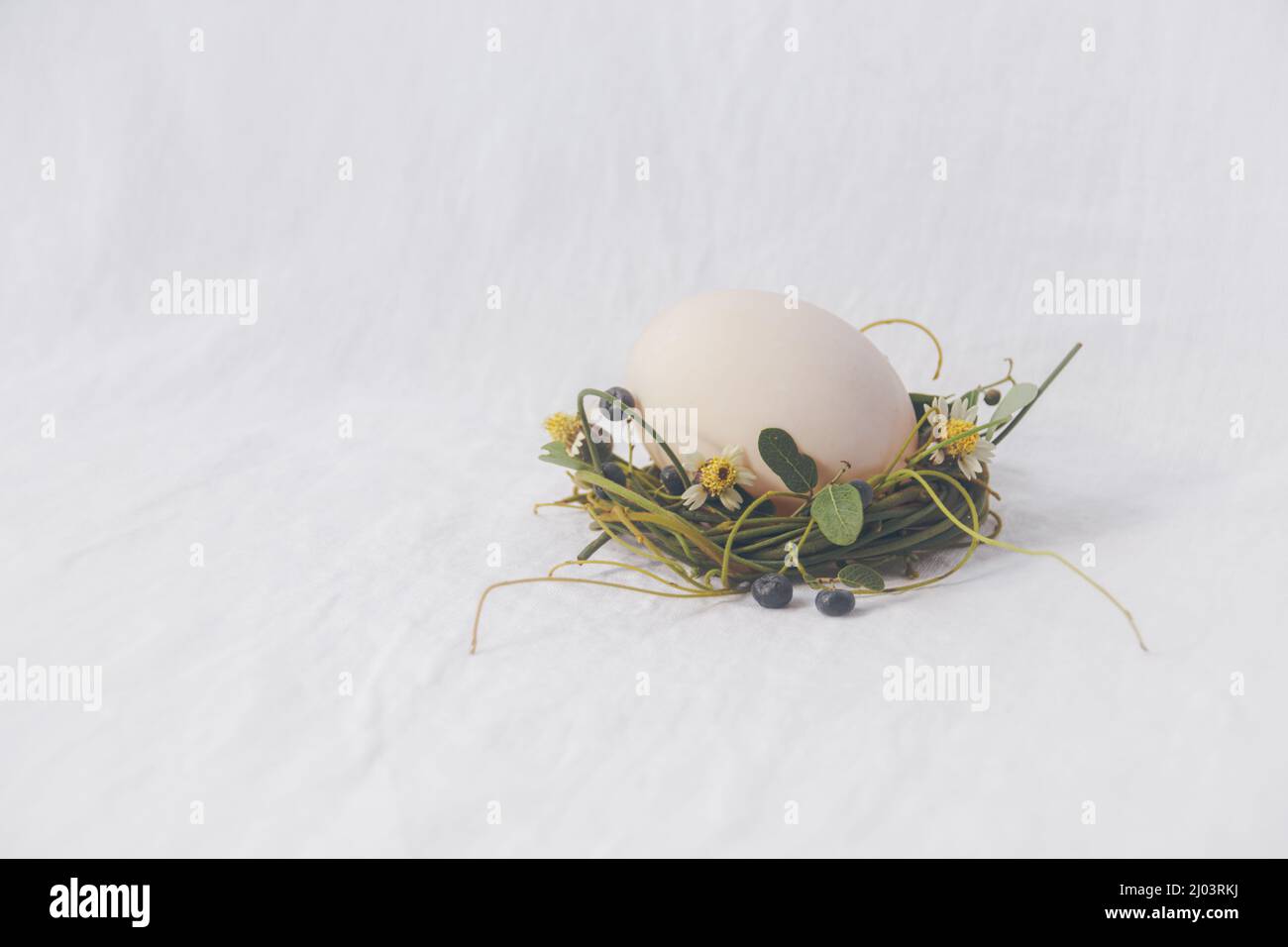 Delicate nest of flowers cradling an egg, Easter theme background Stock Photo