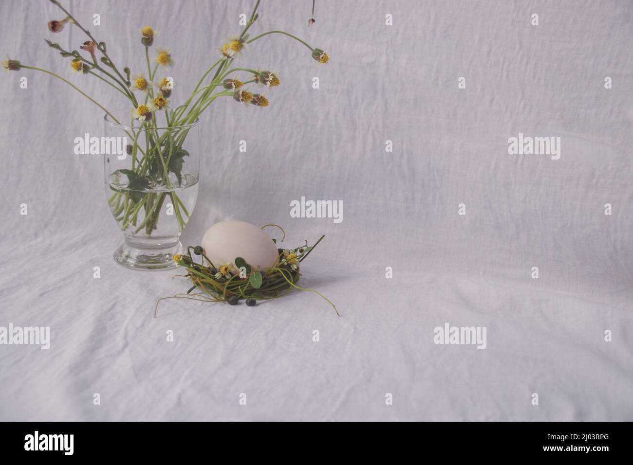 Delicate nest of flowers cradling an egg, Easter theme background Stock Photo