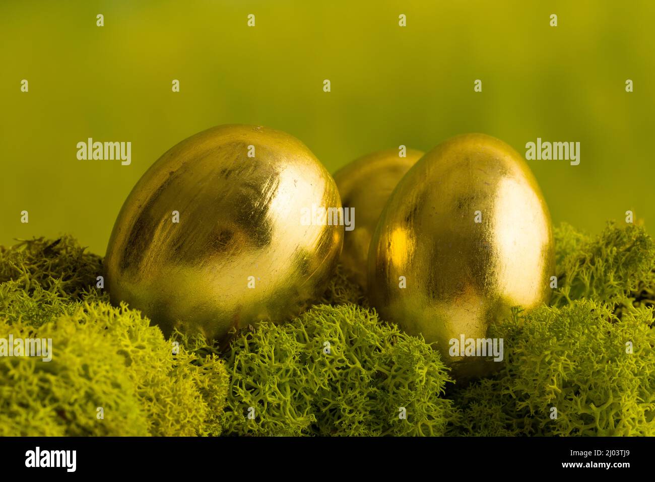 Three gold painted easter eggs on a mossy green background Stock Photo