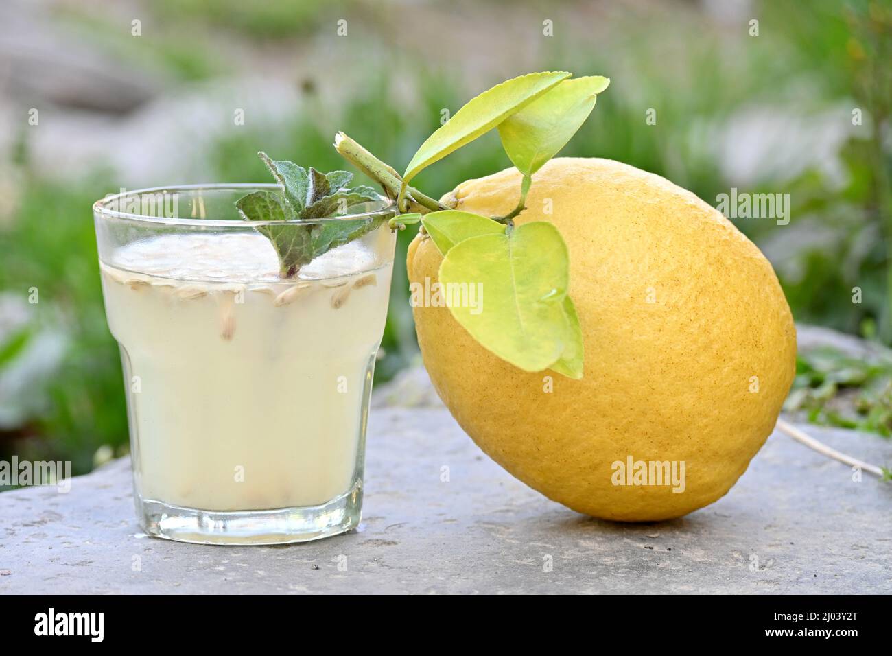 Closeup shot of the yellow grapefruit with juice and mint Stock Photo ...