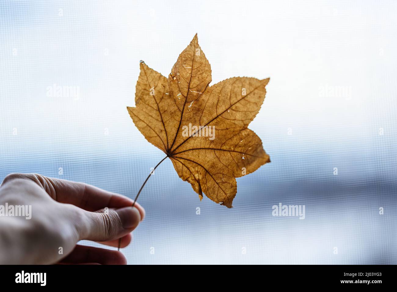 Slective color hi-res stock photography and images - Alamy