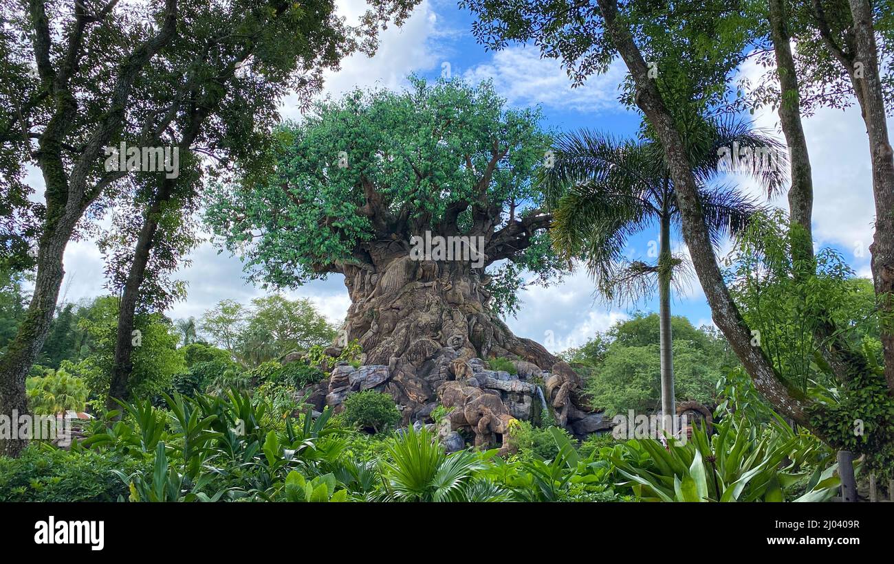 Orlando, FL USA -July 18, 2020: The Tree of Life at Animal Kingdom at  Walt Disney World  in Orlando, Florida. Stock Photo